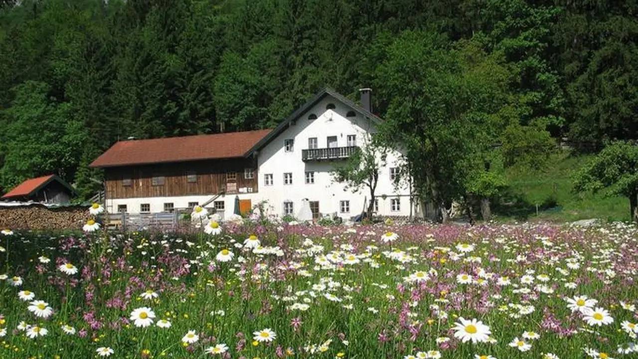 Ganze Ferienwohnung, Ferienwohnung für 5 Personen (60 m²) in Golling an der Salzach in Göllstock, Golling an der Salzach