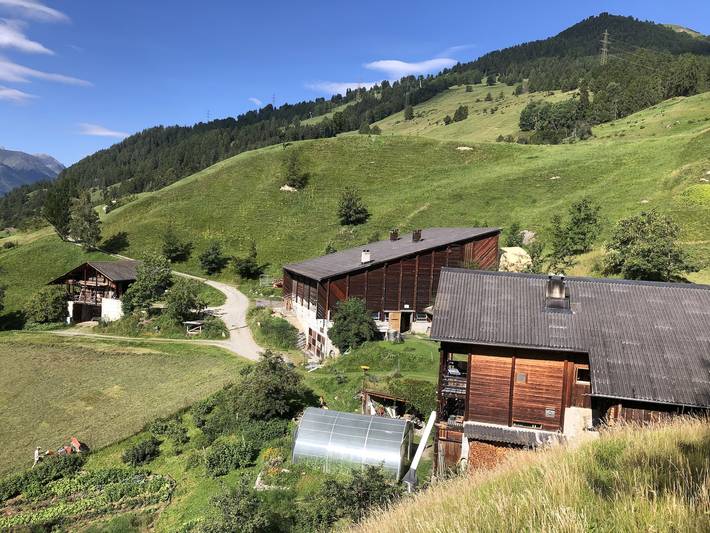 Bauernhof für 5 Personen, mit Garten und Sauna sowie Terrasse, mit Haustier in der Schweiz - 2