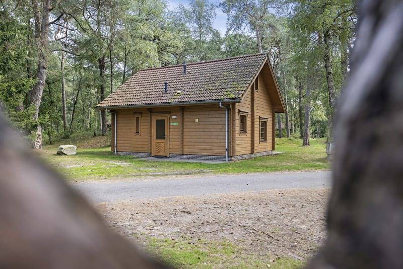Rcn het Grote Bos — Ferienwohnung Sparrendaal in Doorn, Utrecht und Umgebung