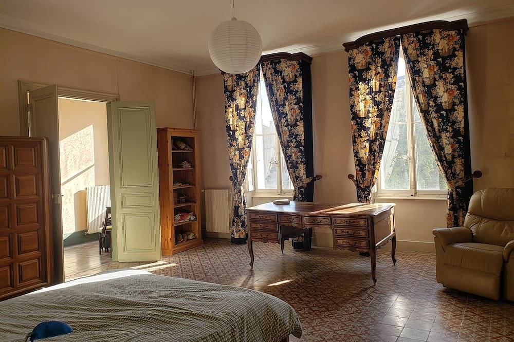 Large family house in a 19th century Hôtel Particulier in Donzère, Région de nyons