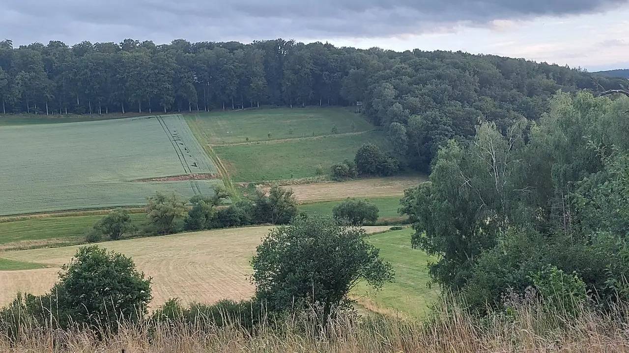 Ganze Ferienwohnung, Ferienwohnung für 3 Personen (71 m²) in Berg in Lahn-Taunus