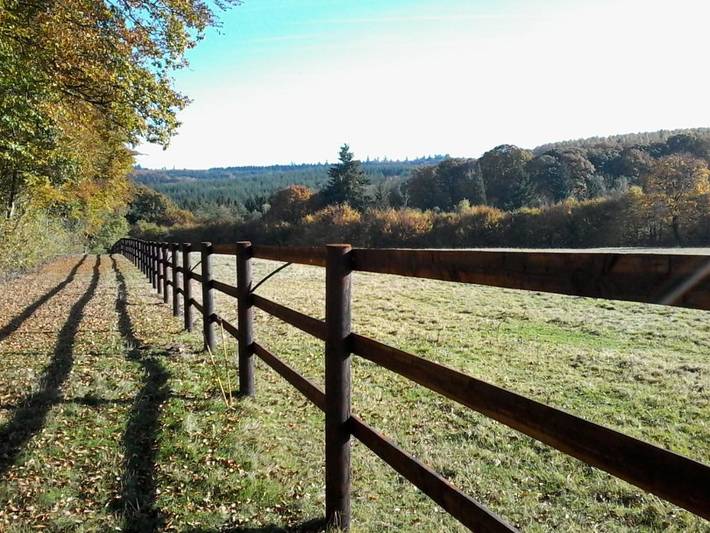 Chambre d’hôte pour 2 personnes, avec jardin et vue dans Parc naturel régional Normandie-Maine - 4