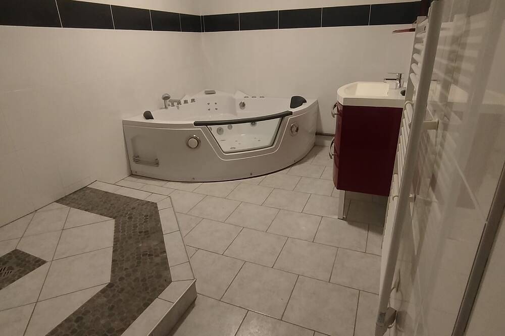 Whole apartment Le Viviani - Indoor swimming pool and sauna in Montluçon, Montluçon und Umgebung