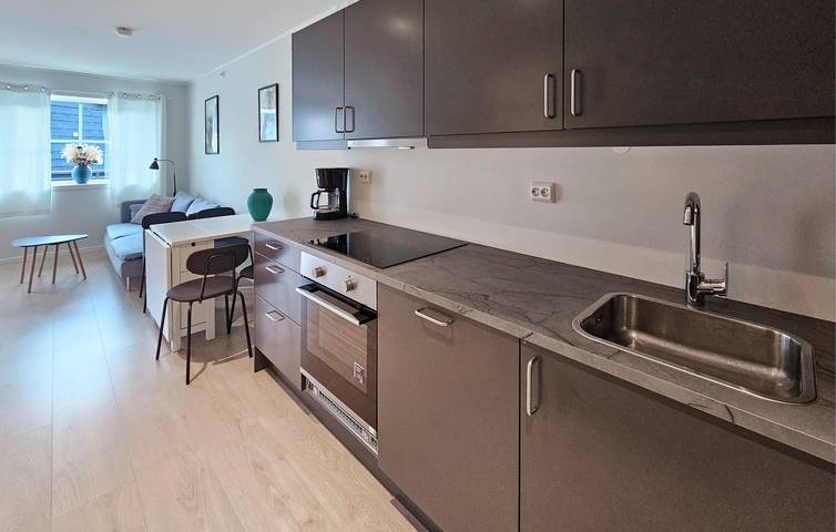Ganze Ferienwohnung, Ferienwohnung für 4 Personen mit Terrasse in Vrådal, Kviteseid