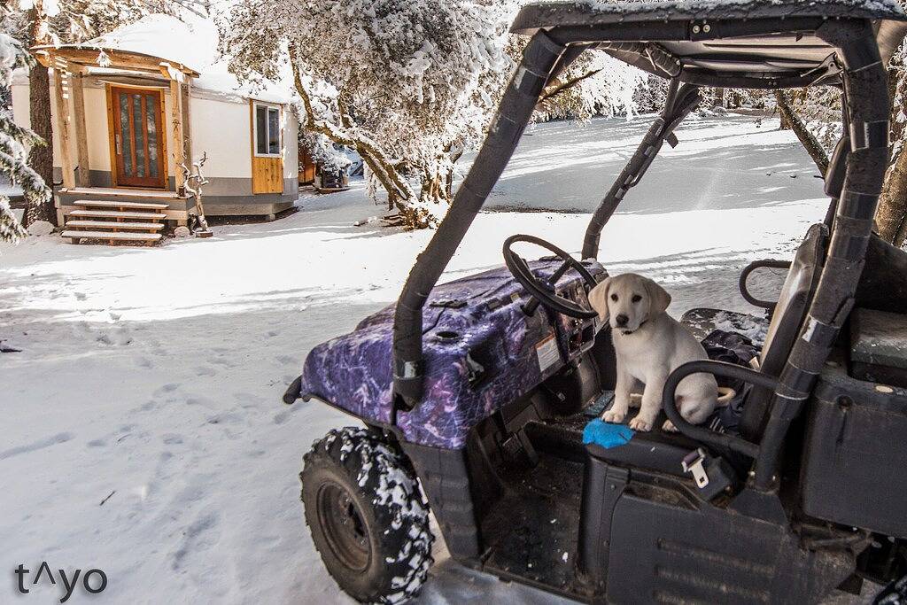 Sehr sexy, gemütlich und romantisch! In der Nähe von Yosemite / Bass Lake gelegen in Oakhurst, Madera County