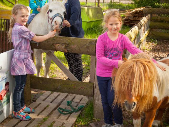 Ferienwohnung für 8 Personen, mit Terrasse und Garten, kinderfreundlich in Neuenkirchen (Lüneburger Heide) - 3