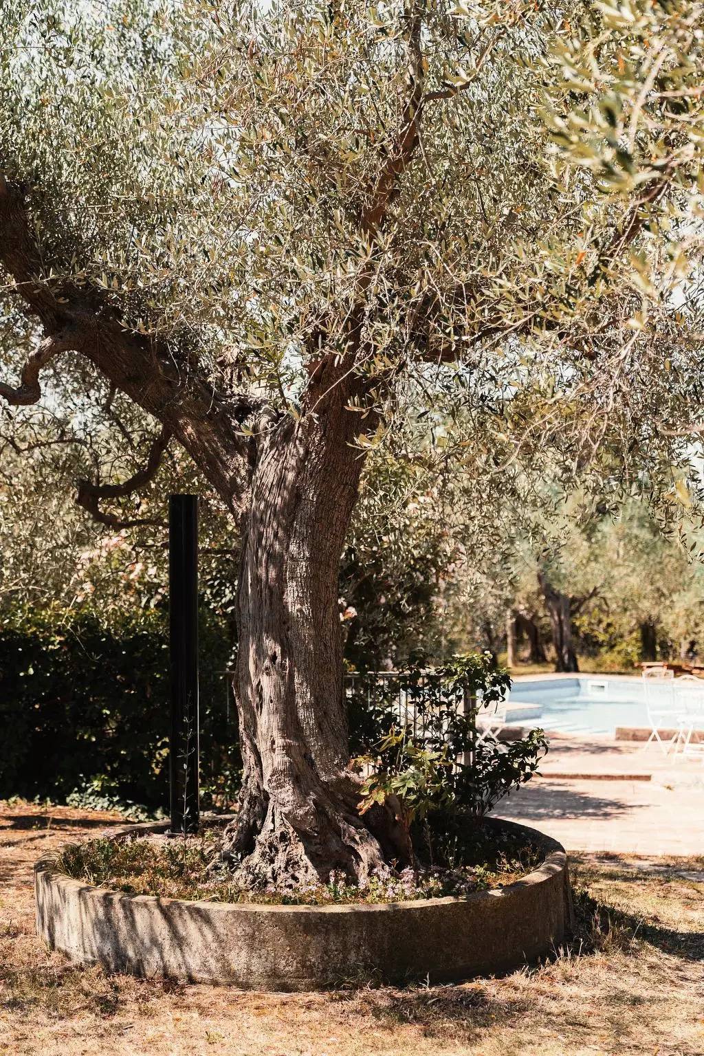 Entire apartment, 5 Pièces 5 Personnes in Pesaro, Valle del Metauro