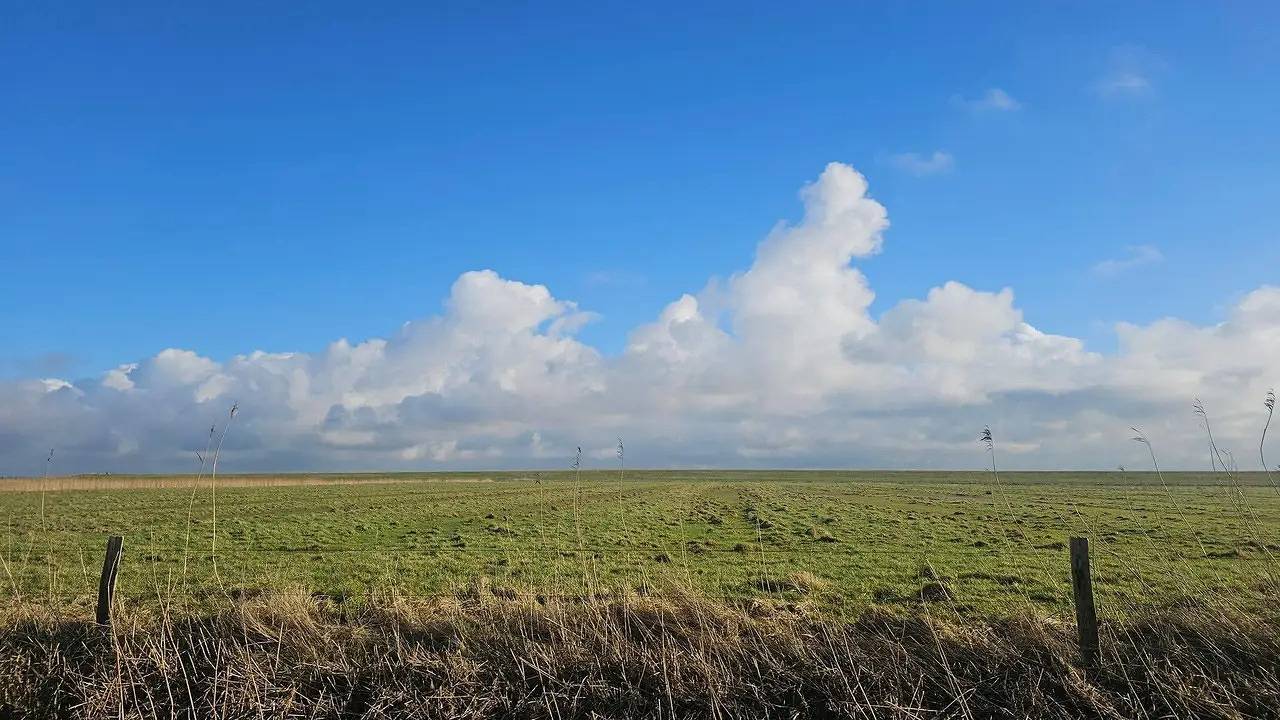 Geheel vakantieappartement, Vakantieappartement voor 6 personen met tuin in Højer, Tondern en omgeving
