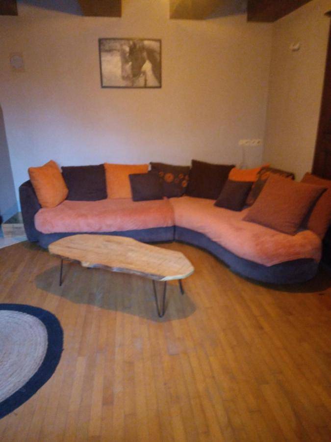 Location de vacances pour 5 personnes, avec jardin et vue dans Port-sur-Saône - 3