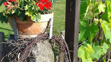 Ferienwohnung für 4 Personen in Hohnstein, Sächsische Schweiz, Bild 2