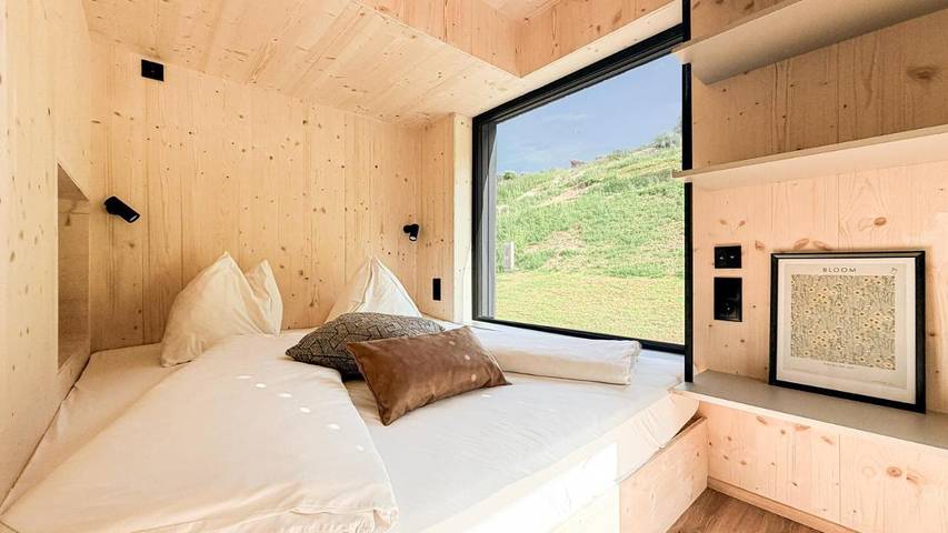 Ferienwohnung für 6 Personen, mit Balkon und Terrasse sowie Garten und Sauna in Lunz am See - 4