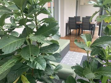 Ferienwohnung für 4 Personen in Kramsach, Kitzbüheler Alpen, Bild 4