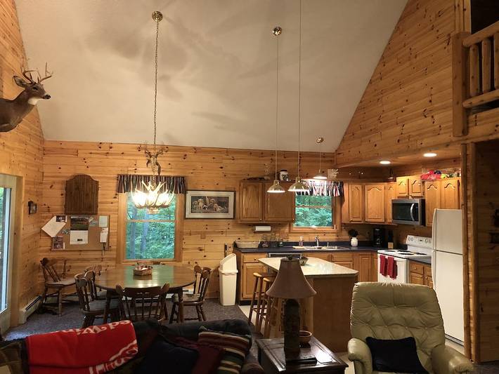 Cottage for 16 people, with terrace and pool, with pets in Michigan