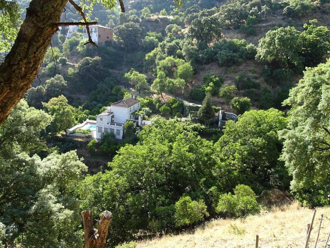 Finca Riolavar in Jubrique, Provincia de Málaga