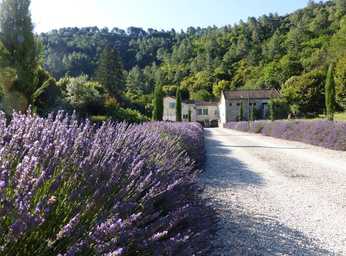Gîte pour 5 personnes, avec piscine ainsi que jardin et terrasse à Branoux-les-Taillades