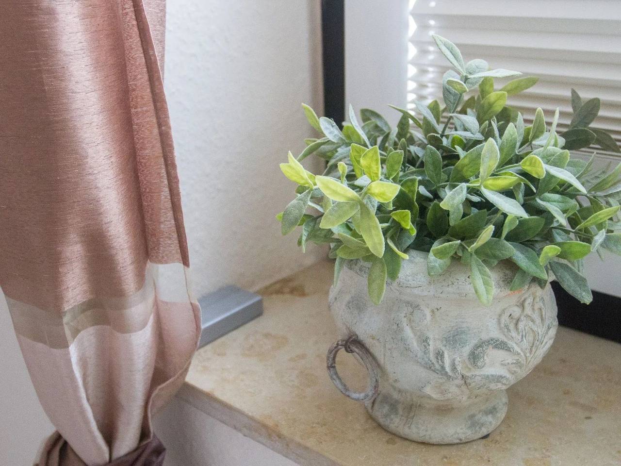 Ganze Wohnung, Watt in Friedrichskoog-Spitze in Friedrichskoog-Spitze, Friedrichskoog