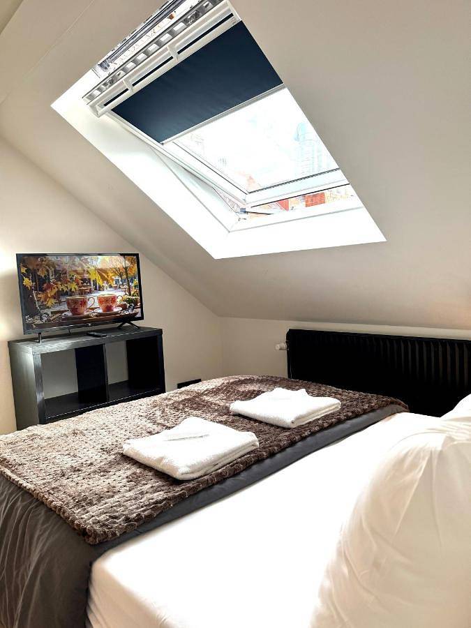 Chambre d’hôte pour 3 personnes, avec terrasse ainsi que vue et jardin à Bruxelles - 3