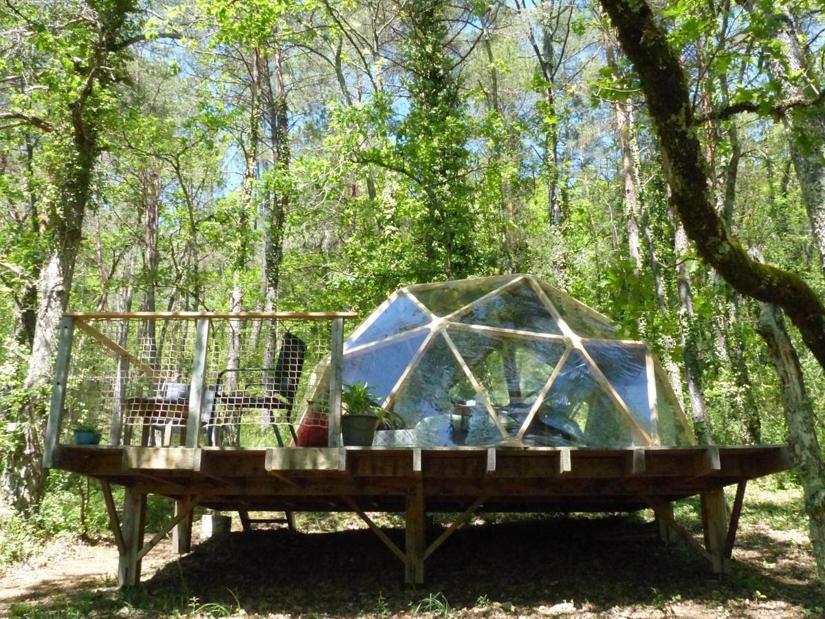 Arborea, nuits insolites au cœur de la forêt in Montignac, Périgord Noir