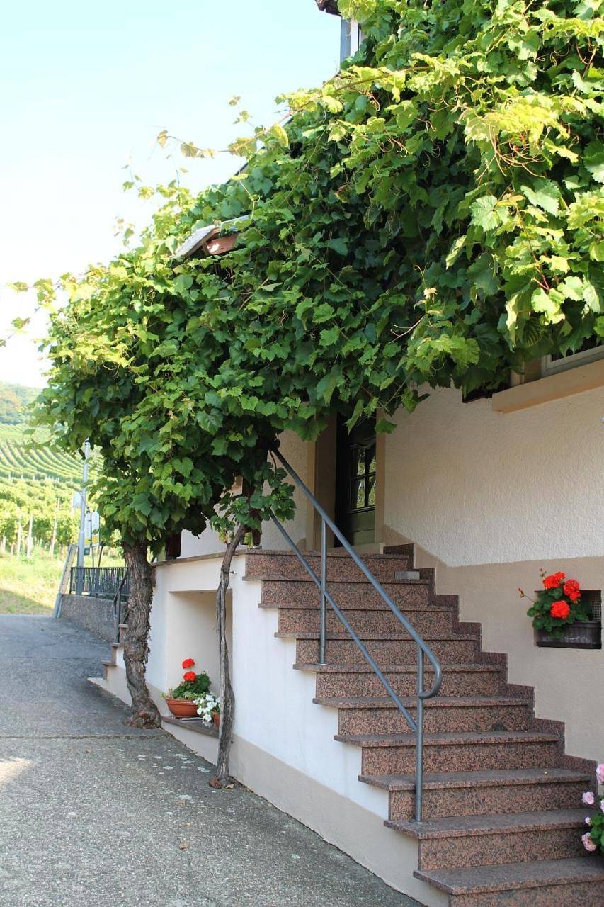 Ganze Wohnung, No. 73 - Idylle im Rebenmeer in Pleisweiler-Oberhofen, Südliche Weinstraße