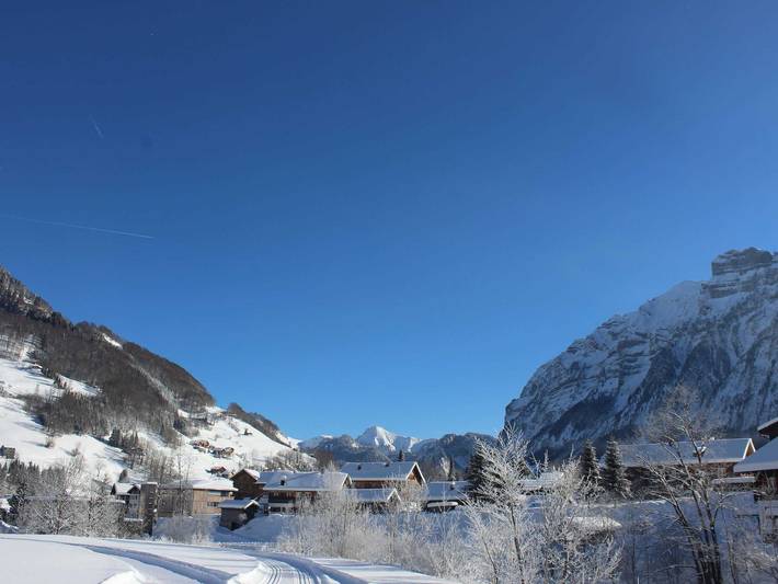 Ferienhaus für 8 Personen, mit Garten im Bregenzerwald - 4