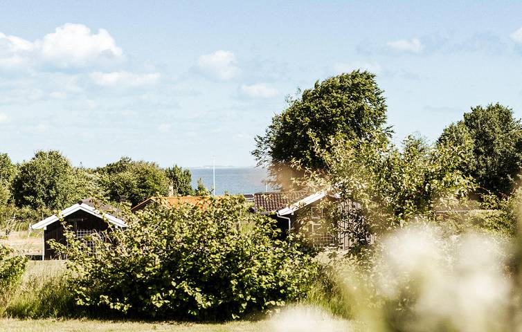 Ferienhaus für 6 Personen, mit Garten und Terrasse in Købingsmark Strand - 3