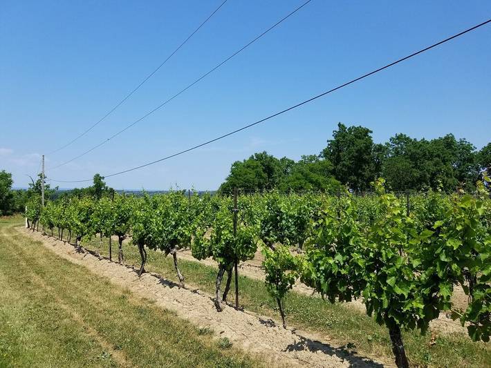 Barn for 10 people, with yard in Ontario
