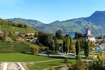 Villa for 5 Guests in Spiez, Western Alps, Picture 4