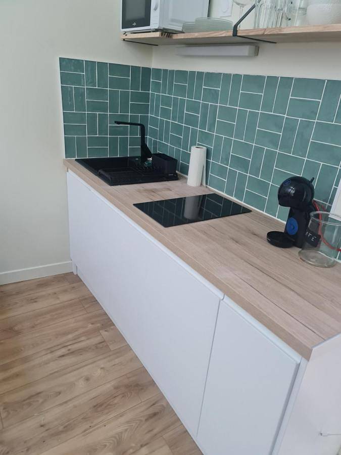 Appartement entier, One-Bedroom Apartment in Roche-la-Molière, Loire