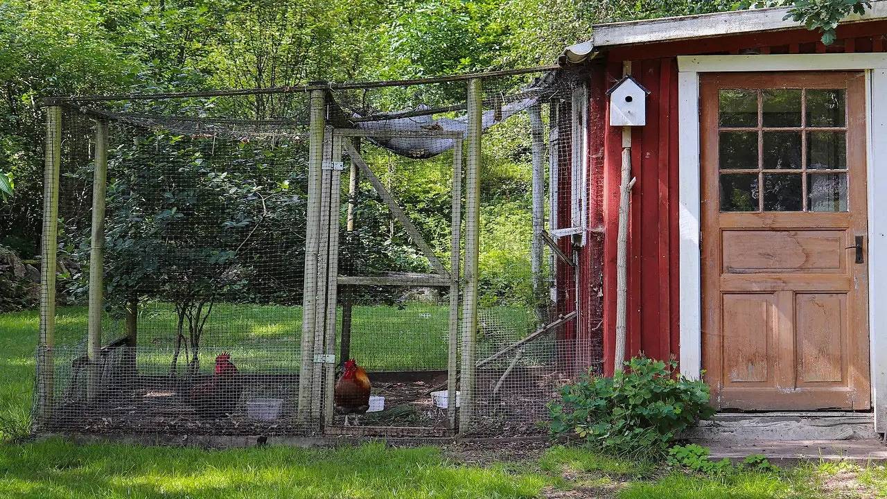 Ferienhaus für 6 Personen (120 m²) in Örkelljunga in Skåne