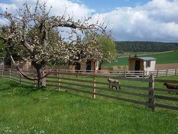 Bauernhof für 5 Personen in Zeulenroda-Triebes, Ostthüringen, Bild 4