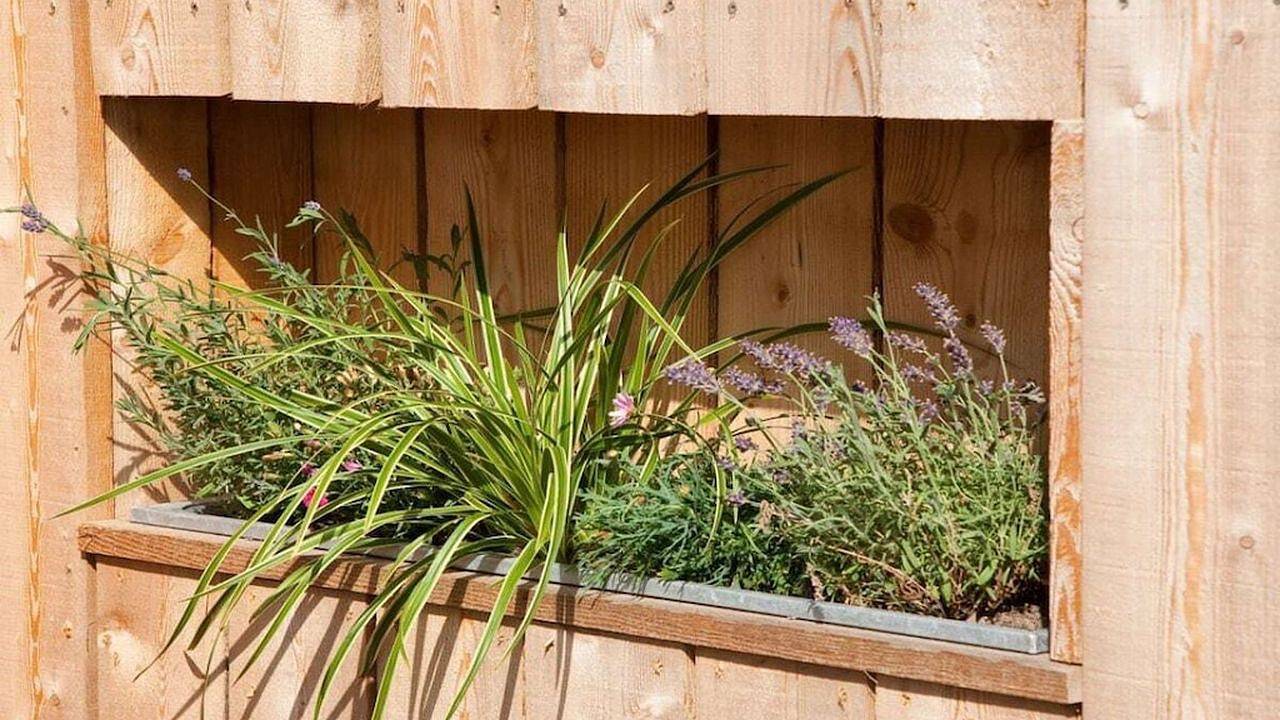 Ferienhaus für 4 Personen (90 m²) in Westerland (Sylt) in Westerland, Sylt (Gemeinde)