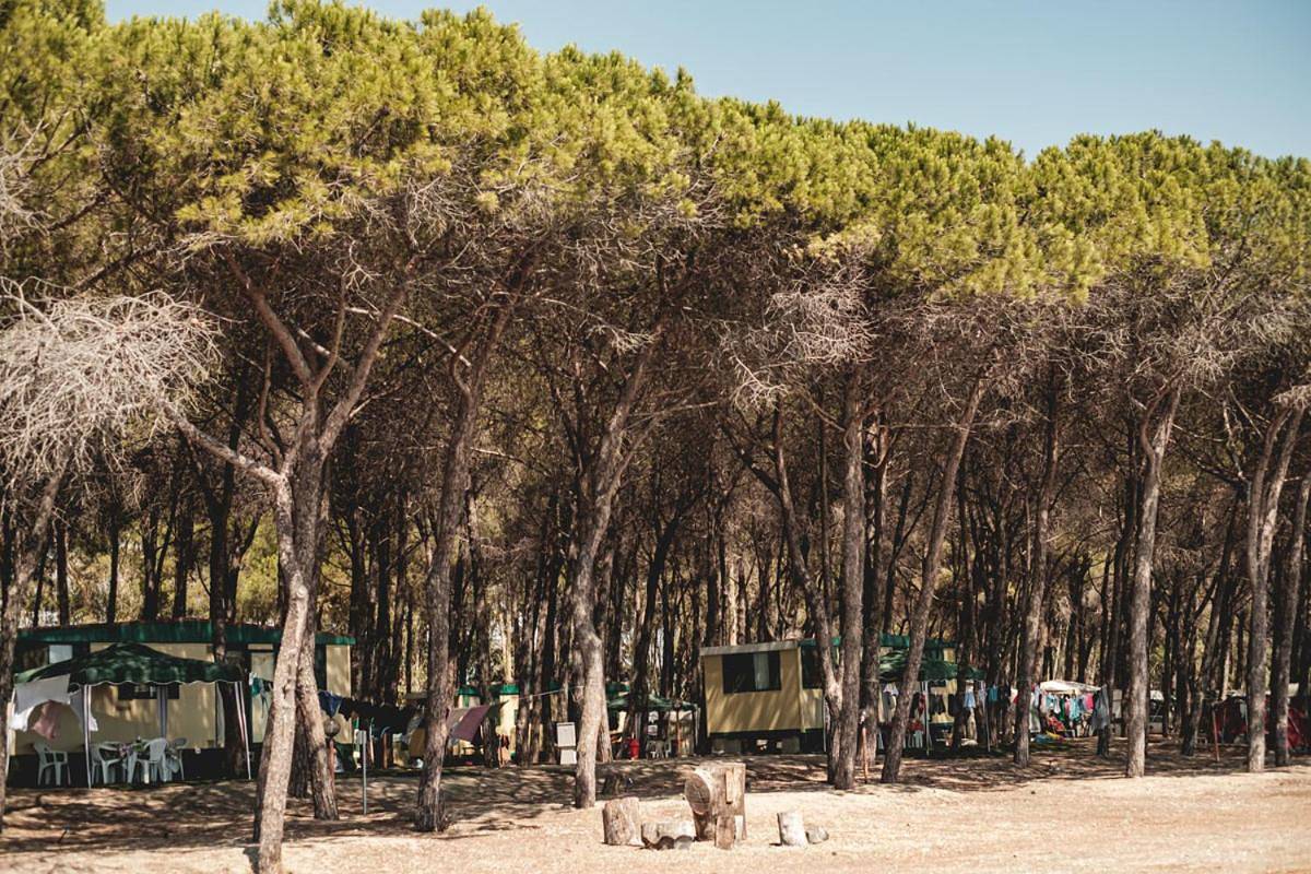 Bungalow in Borgia, Provincia di Catanzaro