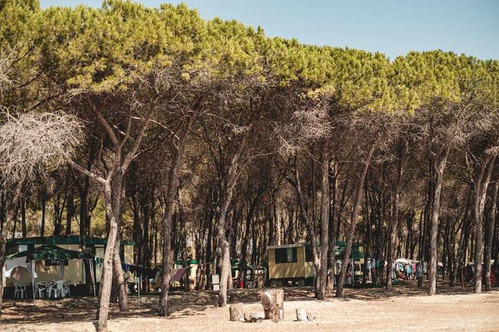 Camping für 2 Personen, mit Ausblick und Garten, mit Haustier in Kalabrien - 4