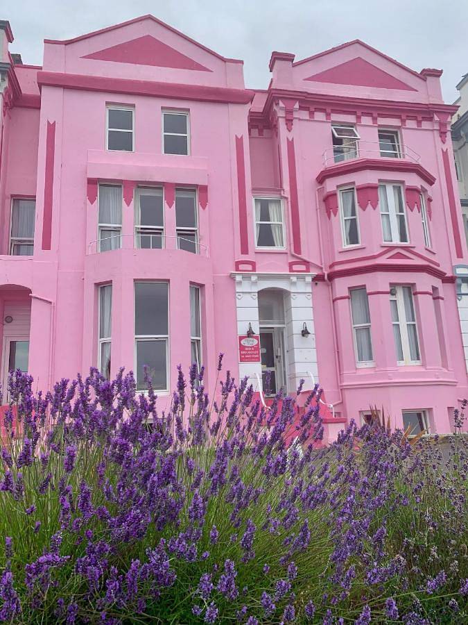 B&b for 2 people, with pets in Paignton