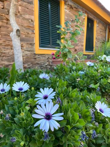 Villa para 8 Pessoas em Açoreira, Vale do Douro, Foto 2