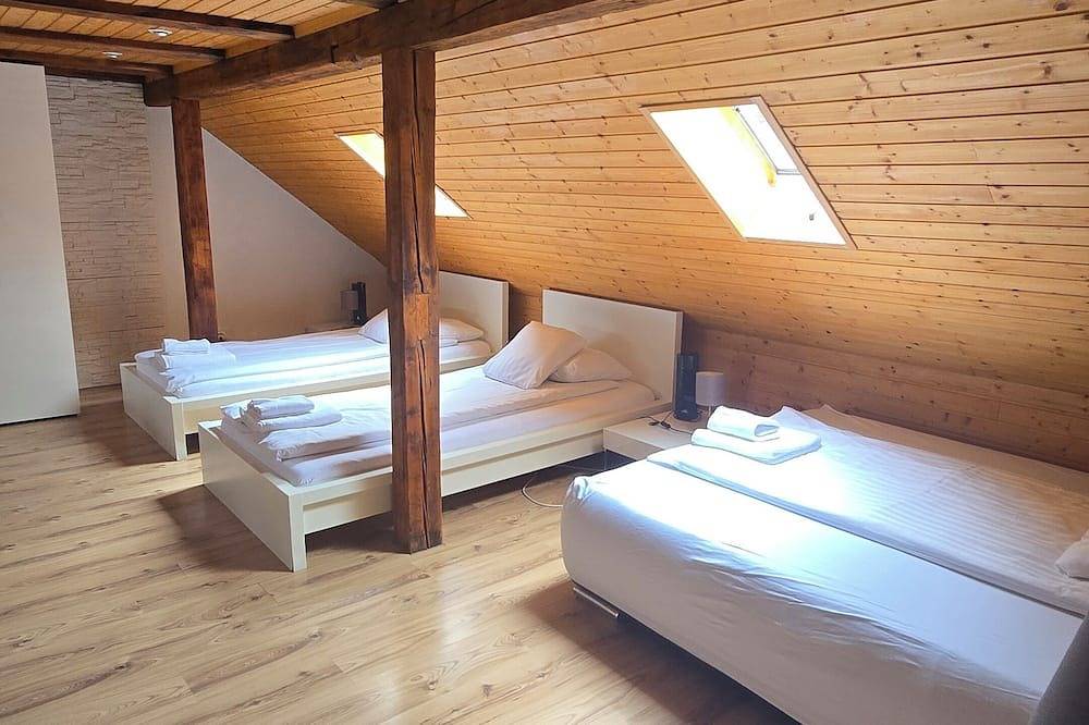 Ganze Wohnung, Cozy Studio for 3 with Roof terrace! in Zürich, Bezirk Zürich
