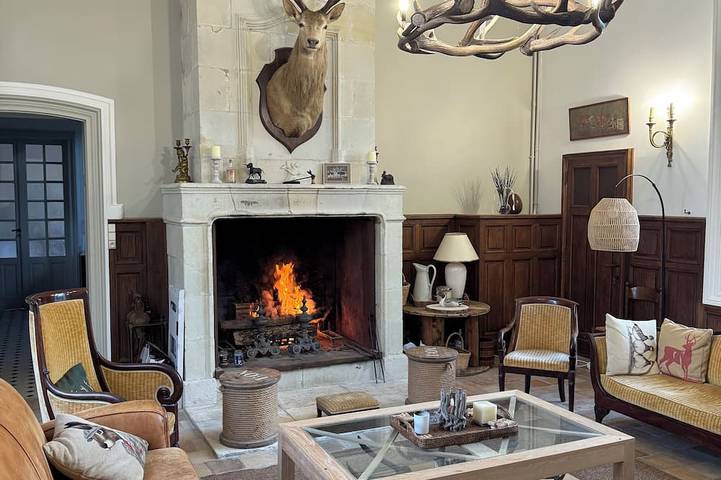 Château pour 15 personnes en Indre-et-Loire