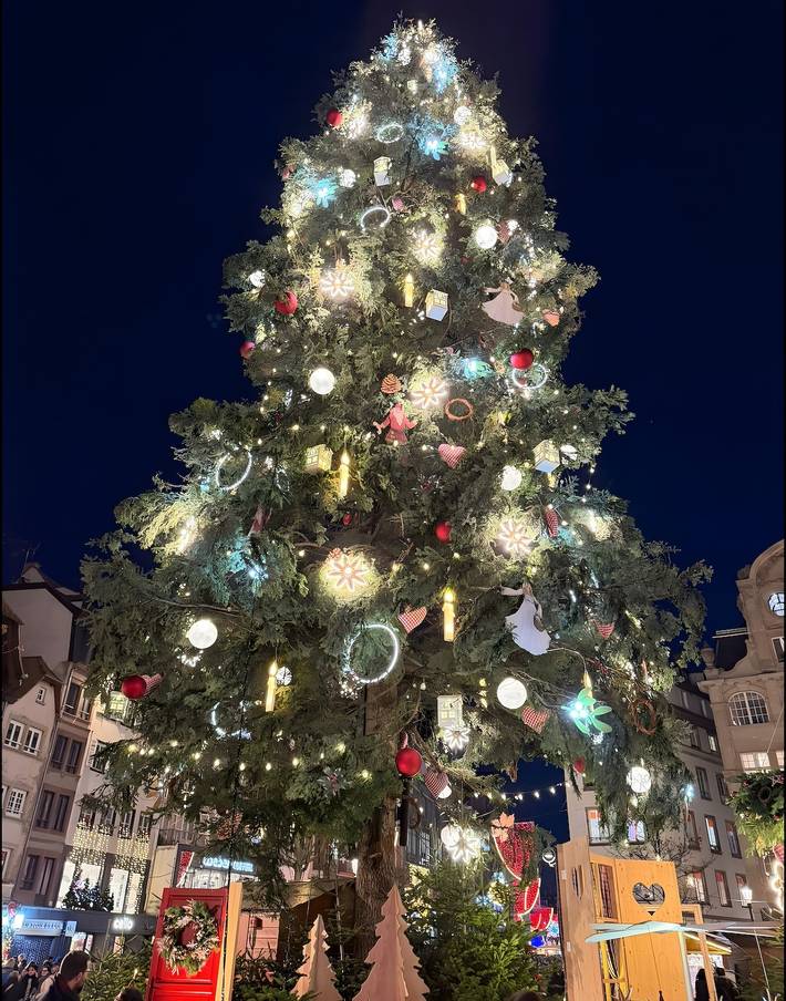 Ferienwohnung für 4 Personen, mit Garten in Rheinau