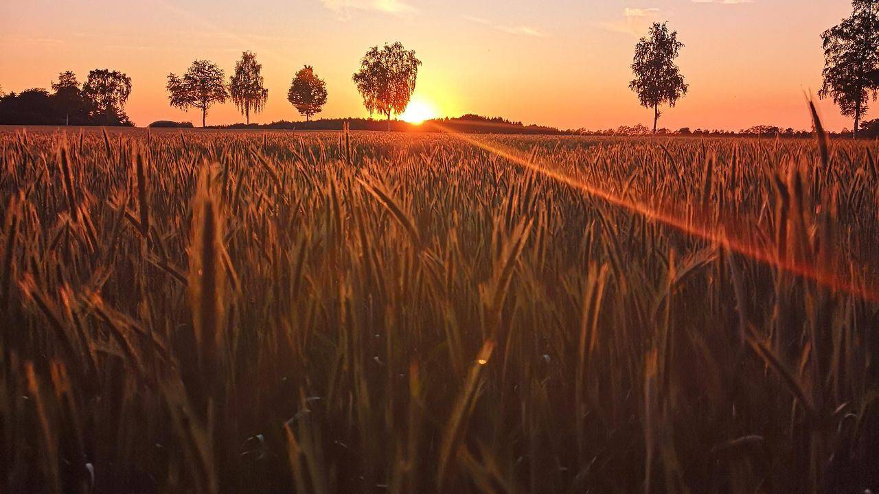 Ganze Ferienwohnung, Ferienwohnung für 8 Personen (140 m²) in Schneverdingen in Schneverdingen, Landkreis Heidekreis