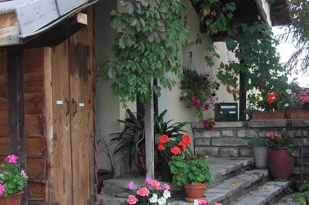Homerez - House in Saint-Léger-les-Mélèzes in Saint-Léger-les-Mélèzes, Écrins National Park