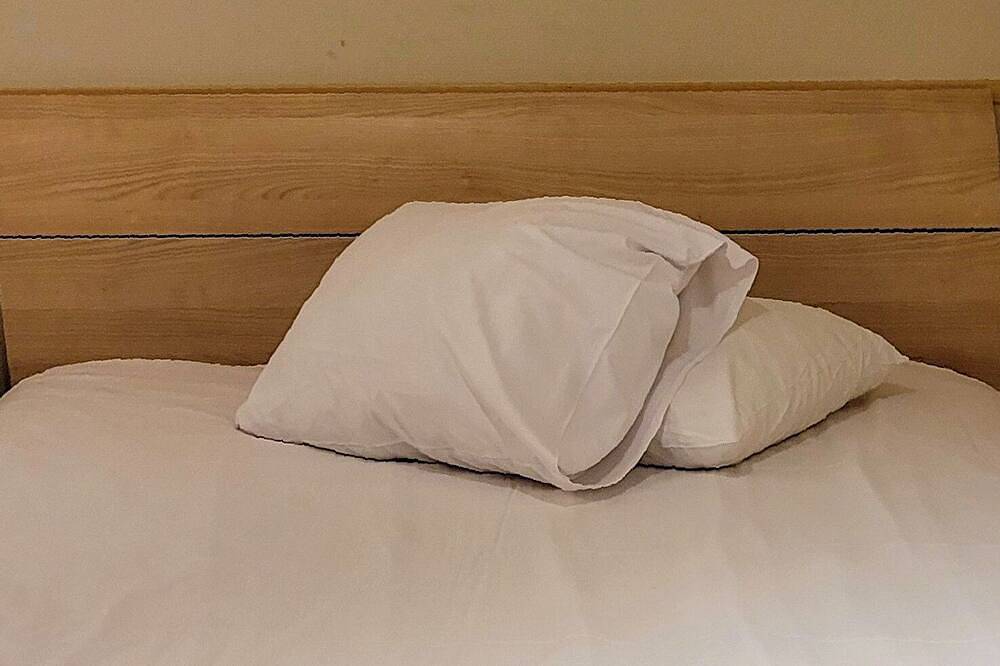 Entire apartment, Cozy Apartment at Walking Distance From North Station and Grand Place in Brussels, Brussels region