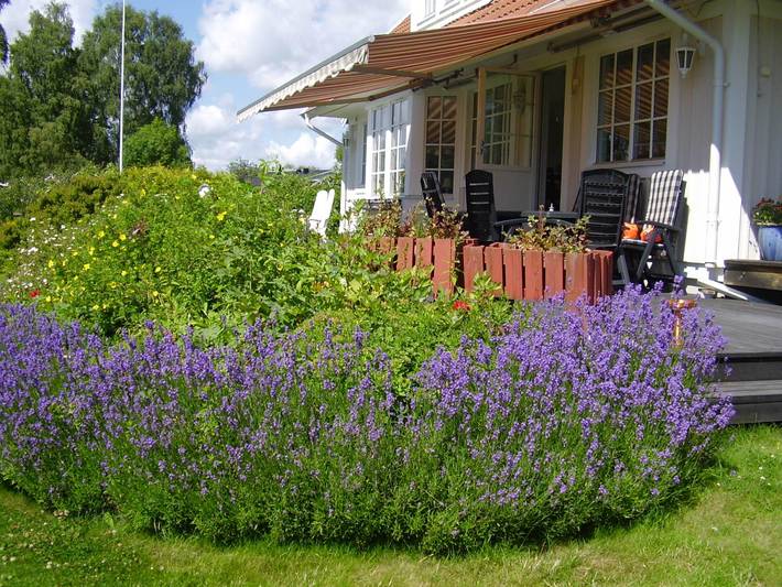 Location de vacances pour 8 personnes, avec jardin ainsi que vue sur le lac et terrasse dans Uppsala - 3