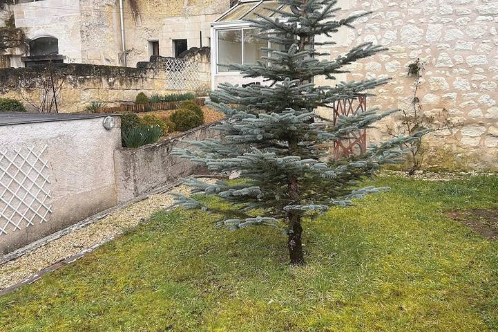 Holiday home for 2 people, with garden, with pets - 1