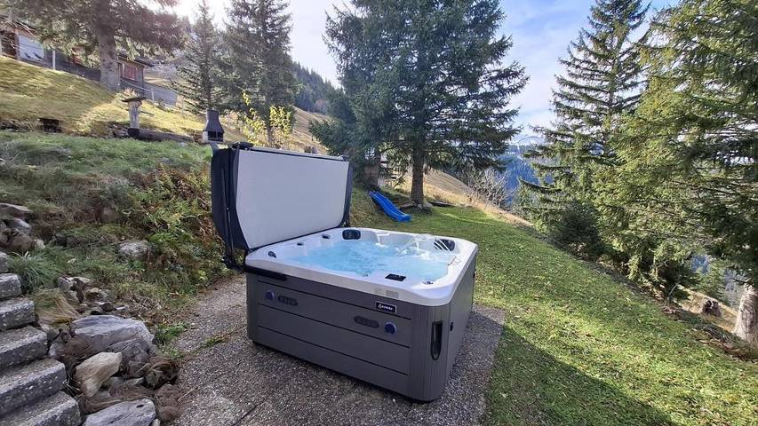 Gîte pour 8 personnes, avec vue et jardin, animaux acceptés dans Axalp - 2
