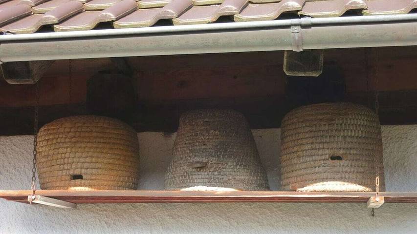 Ferienhaus für 4 Personen, mit Garten in Markgraeflerland - 2