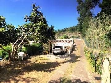 Gîte pour 4 Personnes dans Icod de los Vinos, Tenerife du Nord, Photo 4