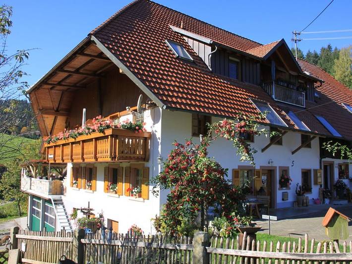 Gîte pour 6 personnes, avec jardin et balcon à Steinach - 3