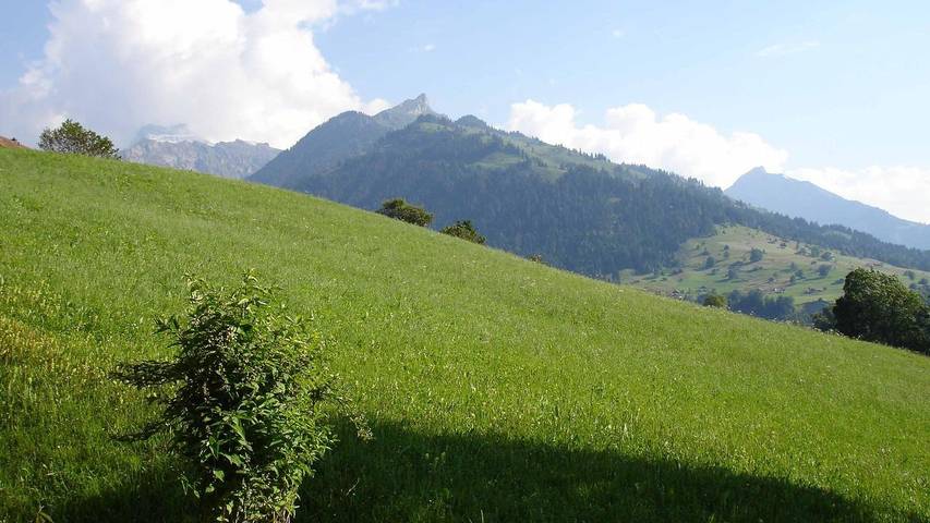 Ferienwohnung für 4 Personen, mit Balkon im Berner Oberland - 4