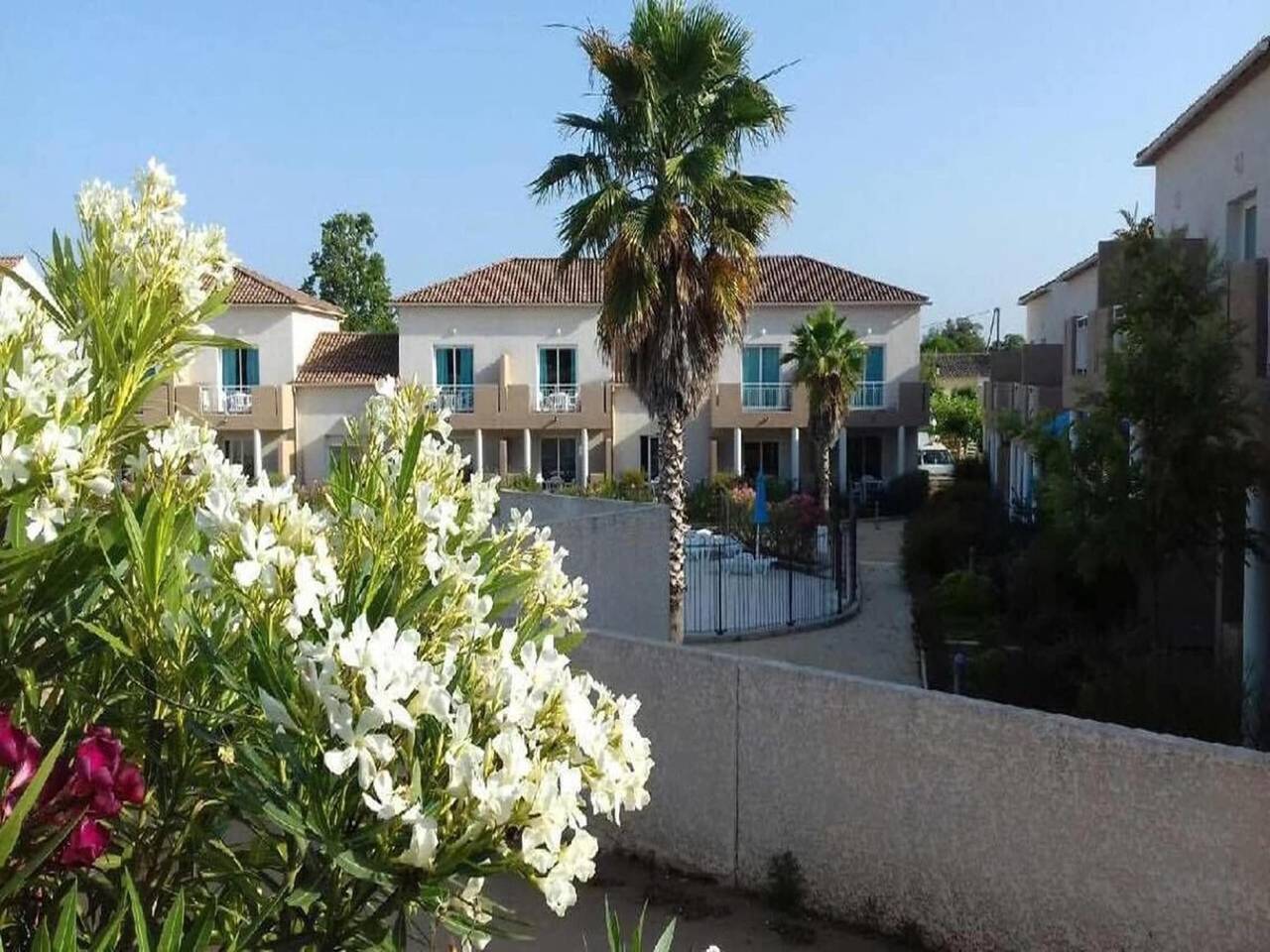 Ruhiger Korsika-Urlaub, Terrasse in Linguizzetta, Corte und Umgebung