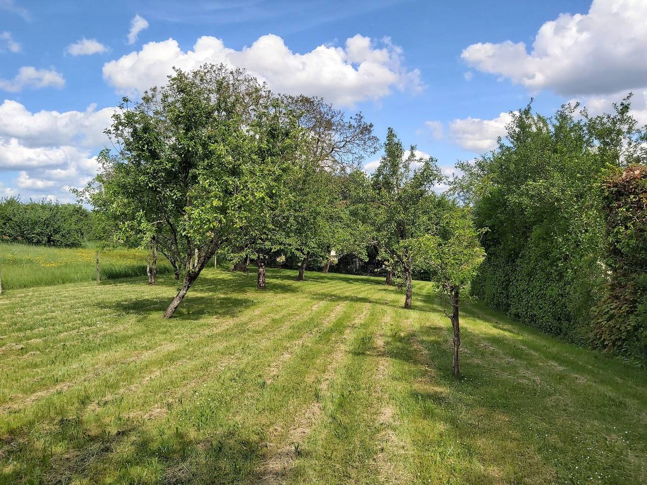 Acogedora casa rural en Nixéville, cerca de Verdún in Nixéville-Blercourt, Verdún